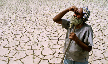An Indian farmer looks towards the sky, while standing amidst his drought-stricken crop. US company S2C Global Systems hopes to ship water from Alaska to India. Photograph: Dipak Kumar/Reuters