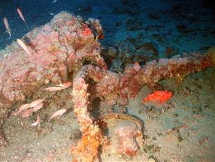 A cannon from the shipwreck of a vessel, likely British, recently discovered near Turkey. 