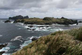 Scene of the grounding: Middle and Stoltenhoff Islets taken from Nightingale across Petrel Bay. Photograph by Peter Ryan