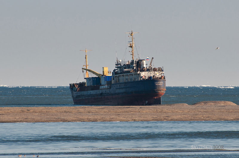 General cargo vessel Amurskaya IMO 7313614, dwt 611, built 1973, flag Russia. F/v Amurskoye IMO 9075840, displacement 2829 tons, built 1992, flag Russia. On a photo from shipspotting.com freighter Amurskaya in distress, aground off Kuhtui river esturary, Okhotsk, Okhotsk sea, photo by Savitskiy Igor, http://forum.shipspotting.com/index.php?action=profile;u=74230