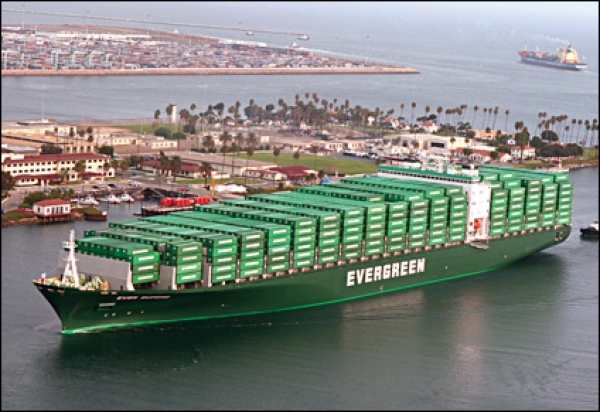 Evergreen takes slots on UAE-S India-Colombo-Chennai service - WORLD ...