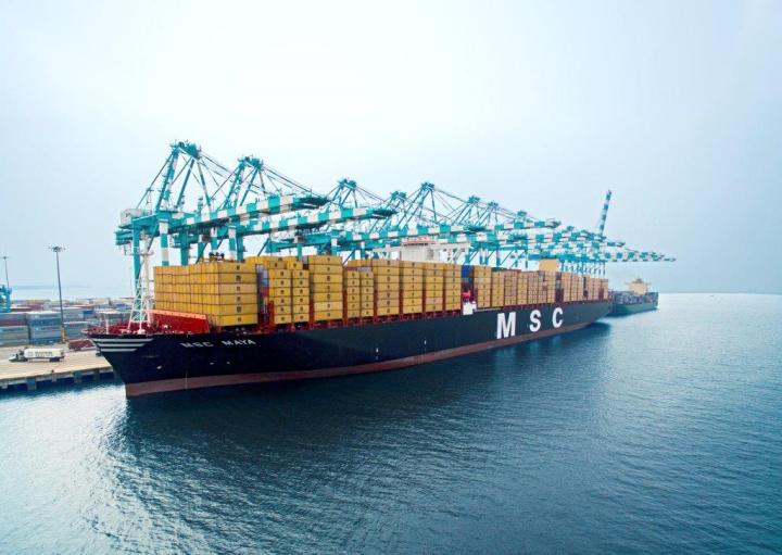 APMT Gothenburg sacks dockers, ignores union calls for compromise