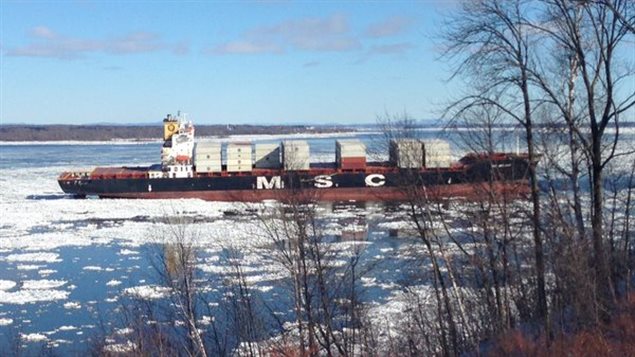 Box ship designed for St Lawrence River has market potential