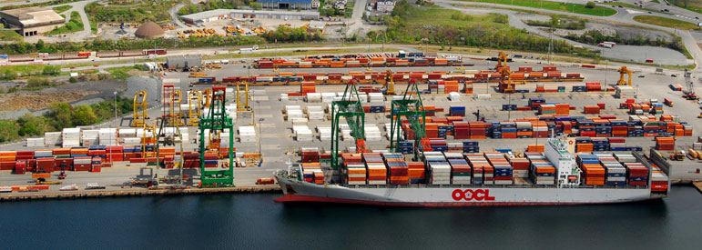 Port of Halifax riding high with bigger ships and more traffic