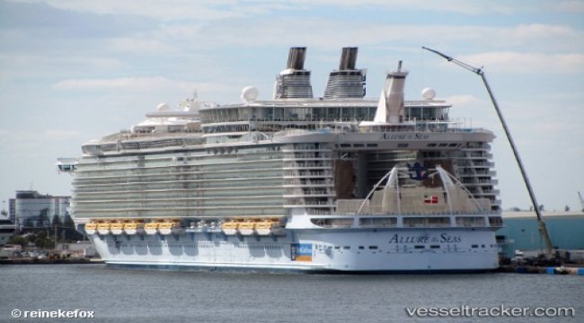 emotional support animals on cruise ships