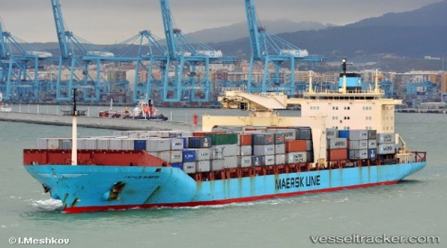 Helsman of fishing vessel fell asleep before collision with boxship