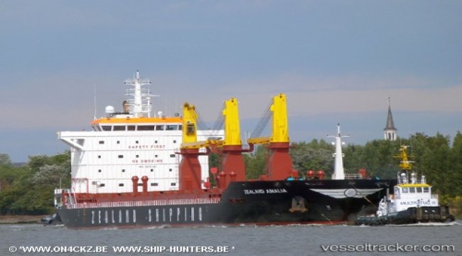 Ship adrift in Bosphorus - WORLD SHIPPING - SeaNews