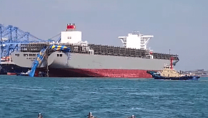 Containership Milano Bridge allided with cranes in Busan, one injured