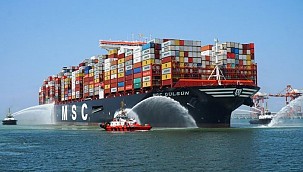MSC establishes Antwerp towage company!