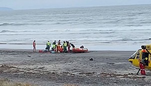 Woman killed in fatal shark attack in New Zealand