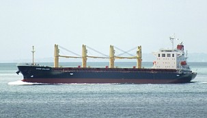 Migrants took control of bulker off south coast of England!