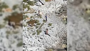 USCG Rescued Three People Stranded for 33 Days on a Deserted Island!