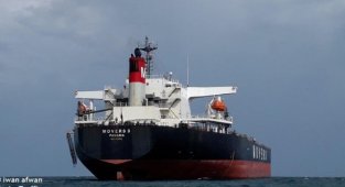A brand new shipping company: