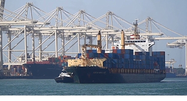 PIL calls out for more box ships - joins industry-wide chase for tonnage