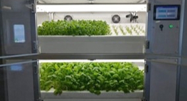 ClassNK awards first-ever notation for installing Hydroponic Vegetable Grower for Ship to improve seafarers' living conditions to Tokei Kaiun's bulk carrier 'ROYAL LAUREL'