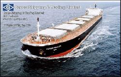 Genco Shipping takes delivery of 2 more ships