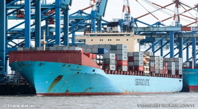 Maersk’s regional carriers go to market under one brand